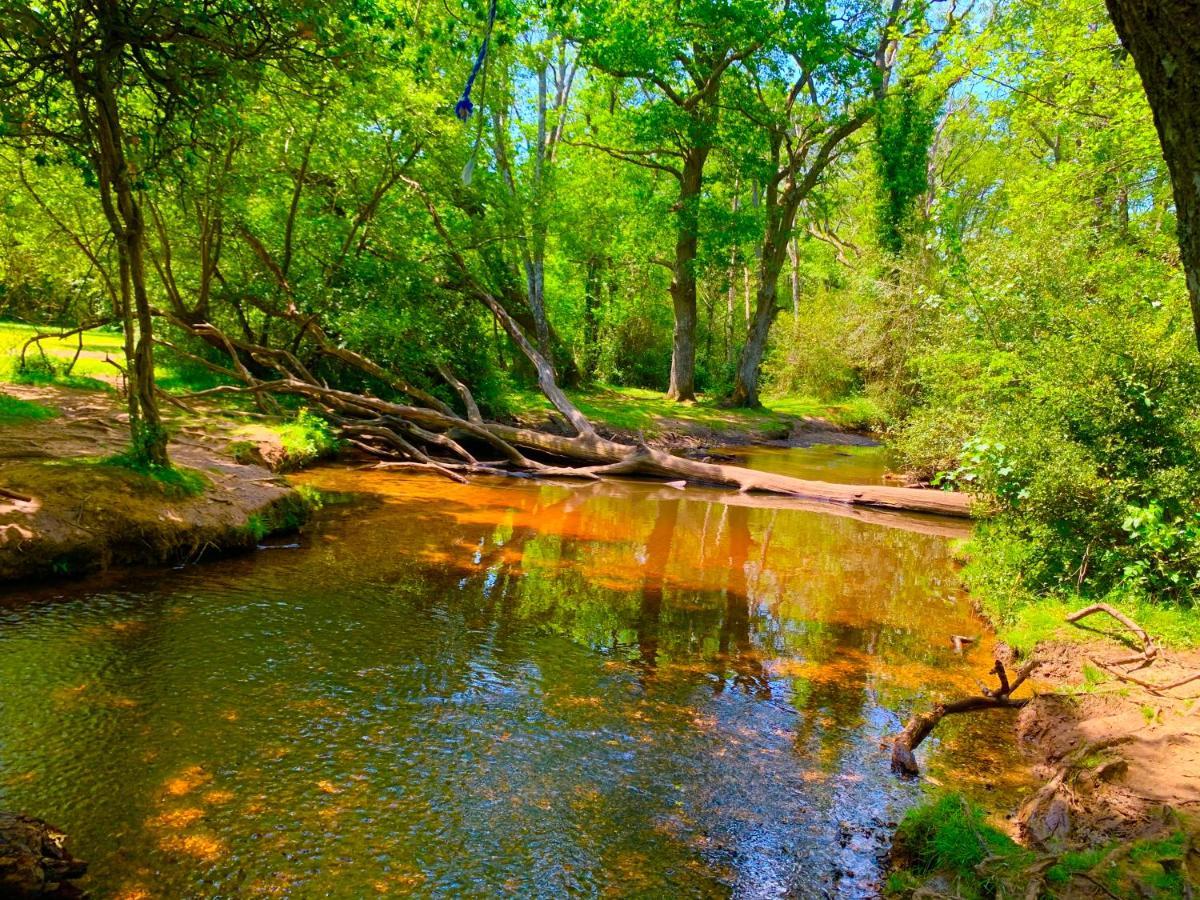 Forest Beach Bashley Park Суэй Экстерьер фото