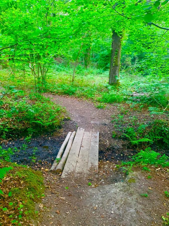 Forest Beach Bashley Park Суэй Экстерьер фото