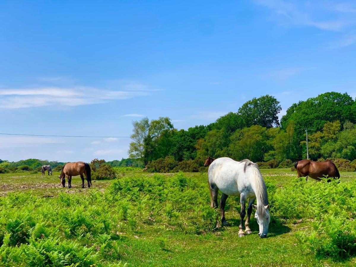 Forest Beach Bashley Park Суэй Экстерьер фото