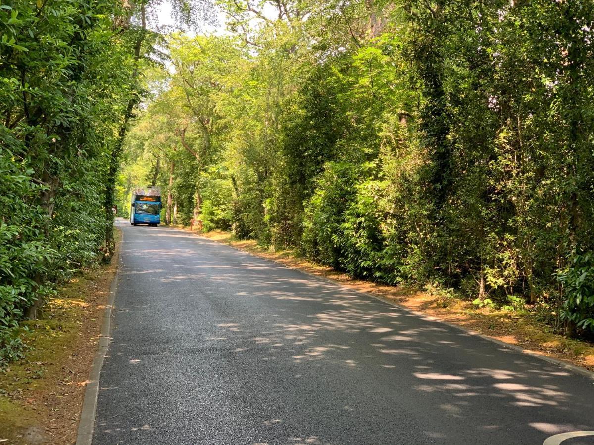 Forest Beach Bashley Park Суэй Экстерьер фото