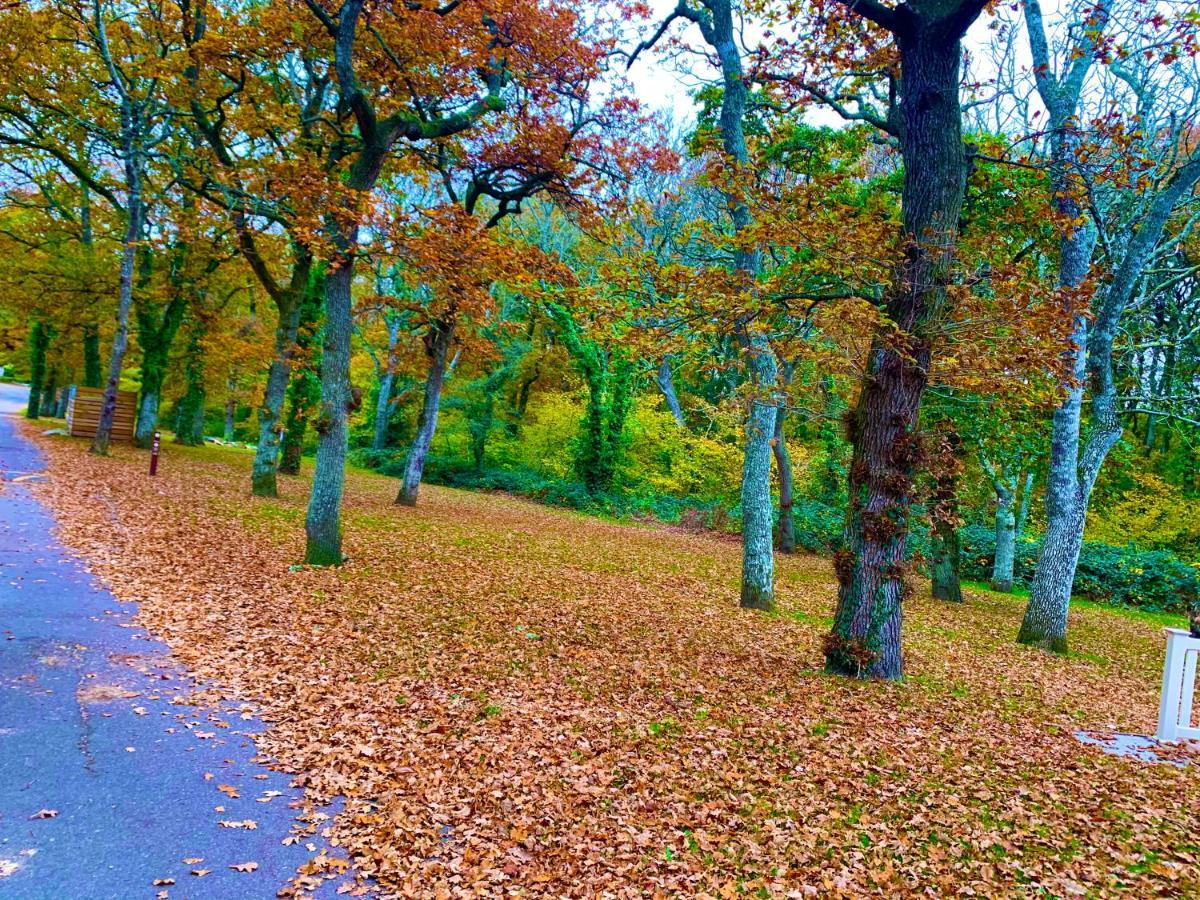 Forest Beach Bashley Park Суэй Экстерьер фото